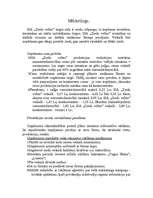 Biznesa plāns 'SIA "Ziedu veltes"', 10.