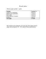 Biznesa plāns 'SIA "Ziedu veltes"', 12.