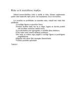 Biznesa plāns 'SIA "Ziedu veltes"', 13.