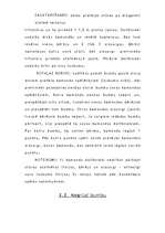 Referāts 'Sporta rotaļas', 5.