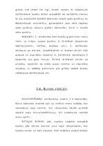 Referāts 'Sporta rotaļas', 10.