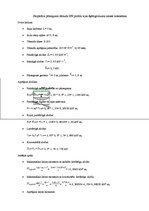 Paraugs 'Starpstāva pārseguma tērauda IPE profila sijas šķērsgriezuma klases noteikšana', 1.