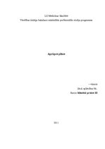 Paraugs 'Aprūpes plāns klīniskajai praksei', 1.