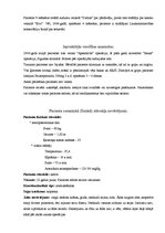 Paraugs 'Aprūpes plāns klīniskajai praksei', 4.