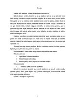 Referāts 'Paklāju jeb mīksto grīdas segumu daudzveidība', 3.