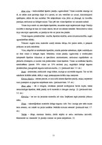 Referāts 'Paklāju jeb mīksto grīdas segumu daudzveidība', 11.