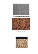 Referāts 'Paklāju jeb mīksto grīdas segumu daudzveidība', 19.