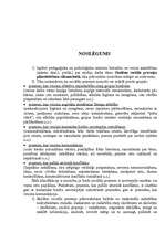 Referāts 'Skolēnu sociālo prasmju pilnveidošana sākumskolā', 23.