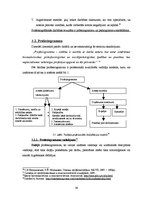 Referāts 'Līderība, līdera un vadītāja salīdzinājums sociāli-psiholoģiskā un profesionāli ', 38.
