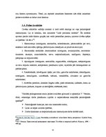 Referāts 'Līderība, līdera un vadītāja salīdzinājums sociāli-psiholoģiskā un profesionāli ', 45.