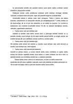 Referāts 'Tiesību normu veidi un to raksturojums', 13.