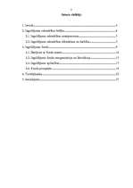 Referāts 'Ieguldījumu sabiedrības', 2.