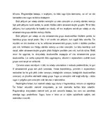 Eseja 'Bioindikatori - skrejvaboles (Coleoptera:Carabidae)', 5.