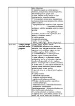 Prakses atskaite 'Prakses dienasgrāmata', 13.