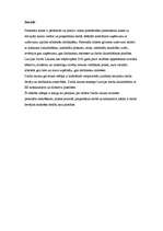 Referāts 'Personāla atlase', 2.