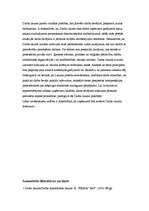 Referāts 'Personāla atlase', 10.