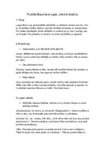 Konspekts 'Rūdolfa Blaumaņa lugas "Indrāni" analīze', 1.