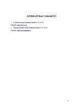 Prezentācija 'Strukturētās kabeļu sistēmas projektēšana', 17.