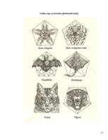 Prezentācija 'Ģeometriskie pārveidojumi mākslā, dabā, arhitektūrā', 13.