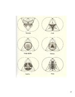 Prezentācija 'Ģeometriskie pārveidojumi mākslā, dabā, arhitektūrā', 14.