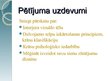 Prezentācija 'Interjers', 2.