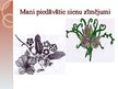 Prezentācija 'Interjers', 8.