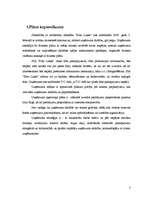 Biznesa plāns 'Biznesa plāns SIA "Foto lukss"', 3.