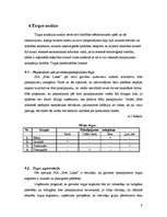 Biznesa plāns 'Biznesa plāns SIA "Foto lukss"', 9.