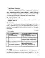 Biznesa plāns 'Biznesa plāns SIA "Foto lukss"', 12.