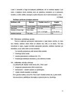 Biznesa plāns 'Biznesa plāns SIA "Foto lukss"', 13.