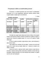 Biznesa plāns 'Biznesa plāns SIA "Foto lukss"', 16.