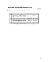 Biznesa plāns 'Biznesa plāns SIA "Foto lukss"', 17.