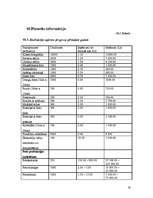 Biznesa plāns 'Biznesa plāns SIA "Foto lukss"', 19.