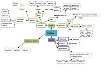 Paraugs 'Domu karte psiholoģijā. Sajūtas', 1.