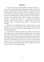 Referāts 'Tirzniecība Senajos Austrumos', 16.