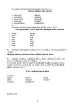 Referāts 'Kļūdas manā latviešu valodā', 6.