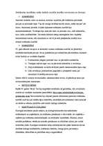 Konspekts 'Amerikas Savienotās Valstis 18.gadsimtā', 6.