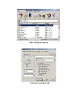 Referāts 'WinRaR un WinZip arhivatoru salīdzināšana', 3.
