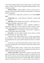 Referāts 'Masāžas pielietojums pacientiem ar jostas daļas disku bojājumiem', 21.