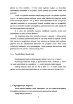 Referāts 'Diētas īpatnības cukura diabēta saslimšanās gadījumā', 9.