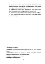 Referāts 'Diētas īpatnības cukura diabēta saslimšanās gadījumā', 36.