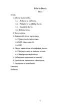Referāts 'Durvis', 1.