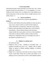 Referāts 'Durvis', 2.