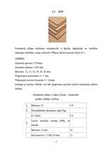 Referāts 'Durvis', 7.