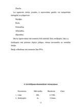 Referāts 'Durvis', 11.