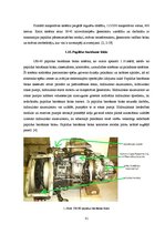 Diplomdarbs 'Vidējās klаsеs kаujаs hеlikоptеrа piеliеtоjums un tеhniskā аpkоpе', 31.