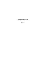 Referāts 'Plaģiātisms skolā', 1.