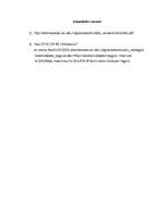 Referāts 'Divvalodīgie bērni', 8.