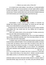 Referāts 'Dabisko sejas masku veidi', 4.