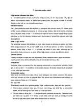 Referāts 'Dabisko sejas masku veidi', 7.